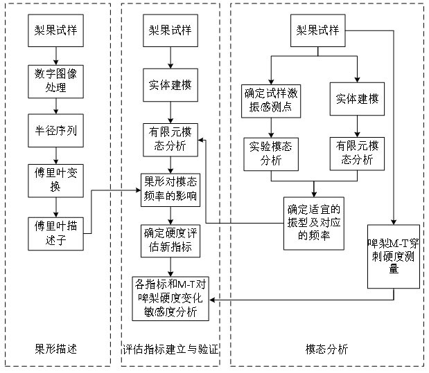 Method suitable for evaluating fruit hardness of pears with irregular fruit shapes