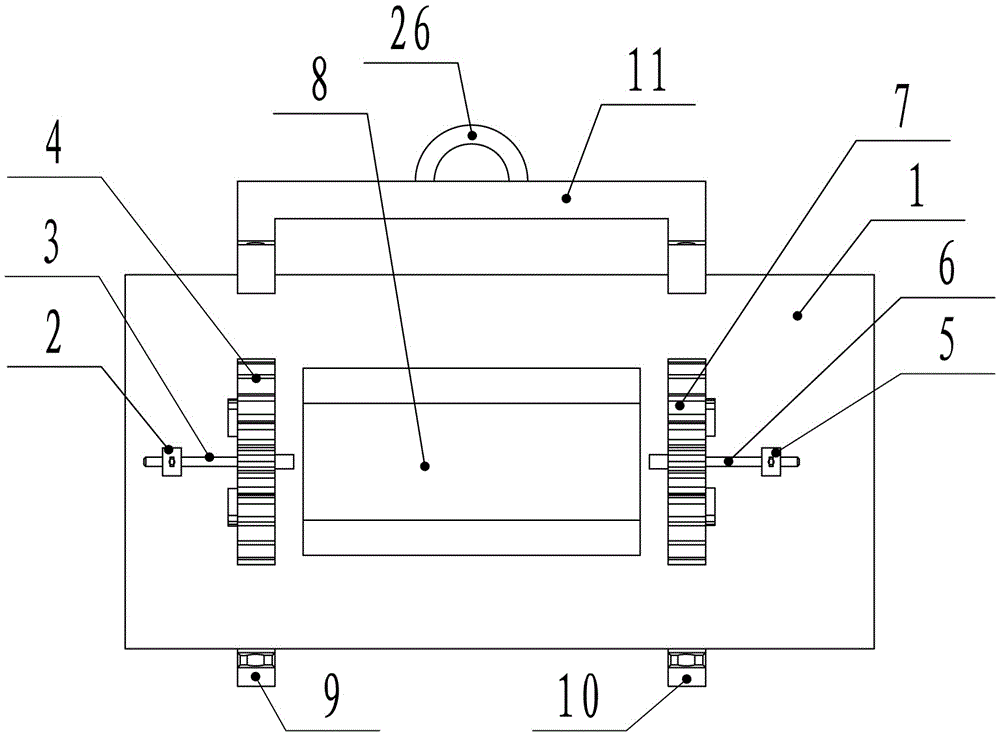 Device for ultrasonic inspection of fixed mouse body