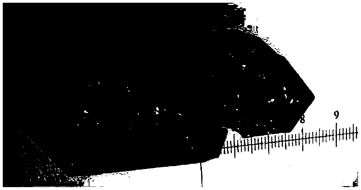 Composite material with high corrosion resistance and preparation method thereof