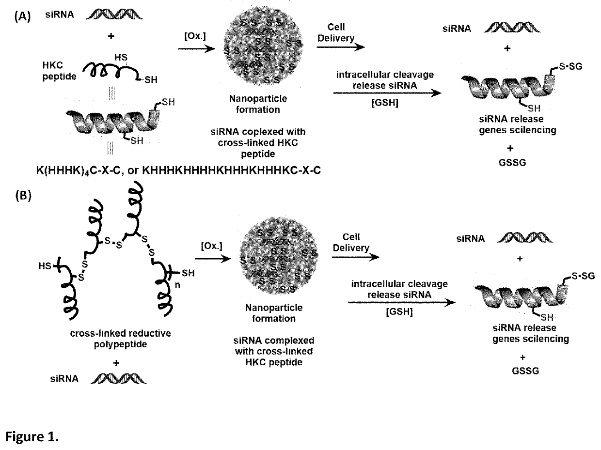 Composition and Methods of Controllable Co-Coupling Polypeptide Nanoparticle Delivery System for Nucleic Acid Therapeutics
