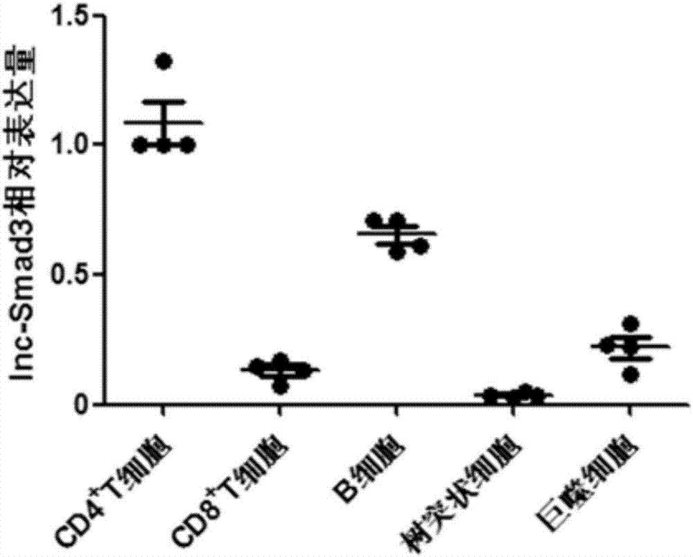 Specific biomarker of initial CD4&lt;+&gt;T cell and/or regulatory T cell differentiated from initial CD4&lt;+&gt;T cell