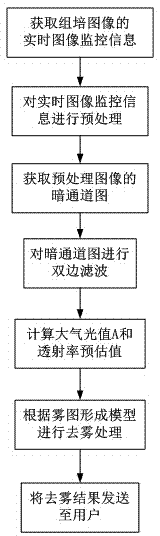 Tissue culturing monitoring method and system based on image mist elimination