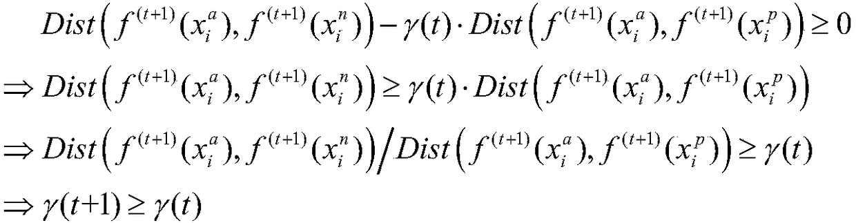 Trace ratio criterion-based triple loss function design method