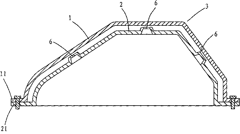 Process for manufacturing and molding double-layer plastic vehicle body