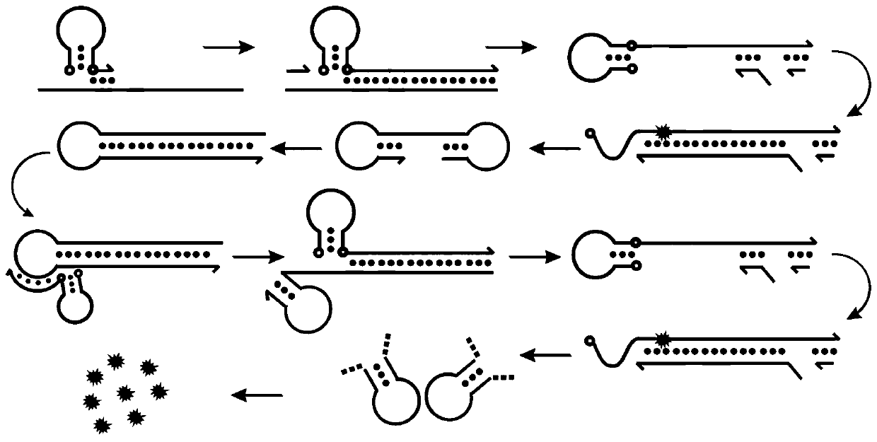 Multi-target gene parallel detection combined probe and application thereof