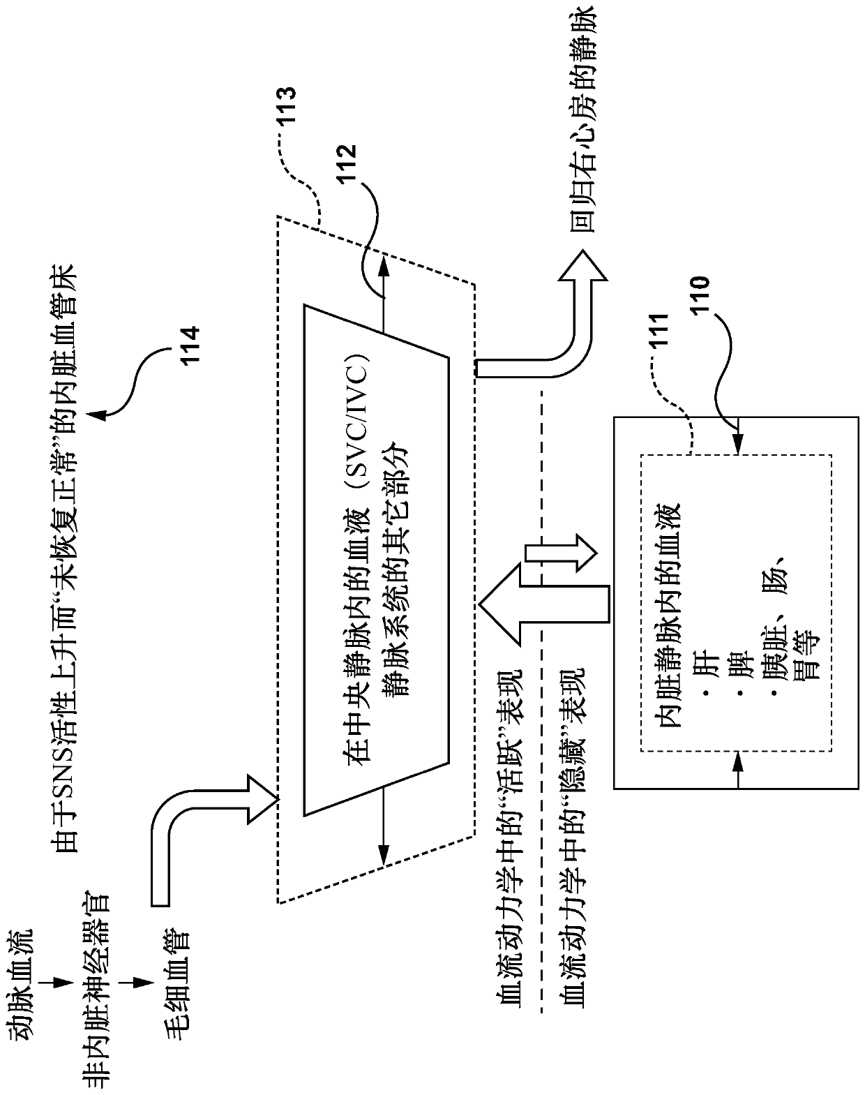 Devices, systems, and methods for treatment of heart failure by splanchnic nerve ablation