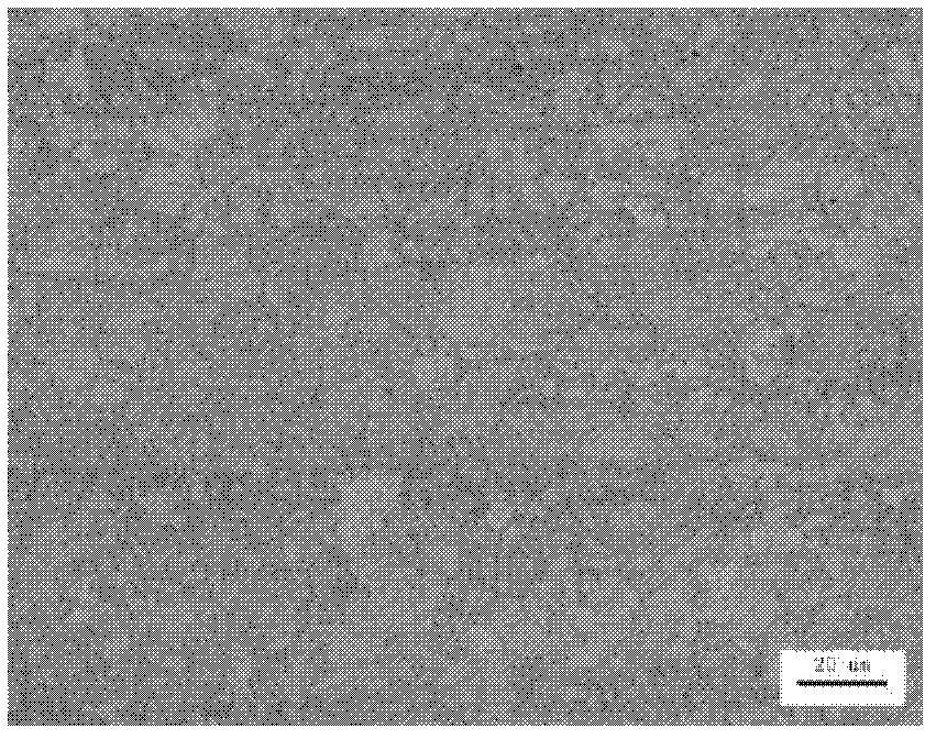 High-strength high-toughness Cu-containing steel and production method thereof