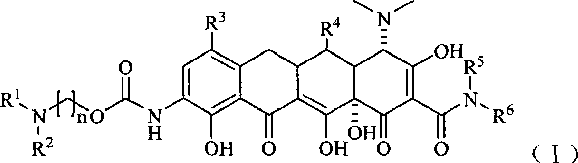Glycinamide alkyl oxanamide tetracycline derivants