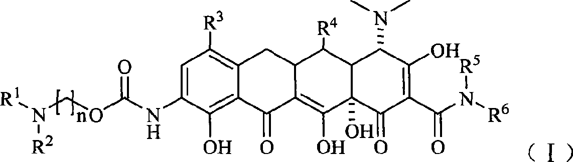 Glycinamide alkyl oxanamide tetracycline derivants