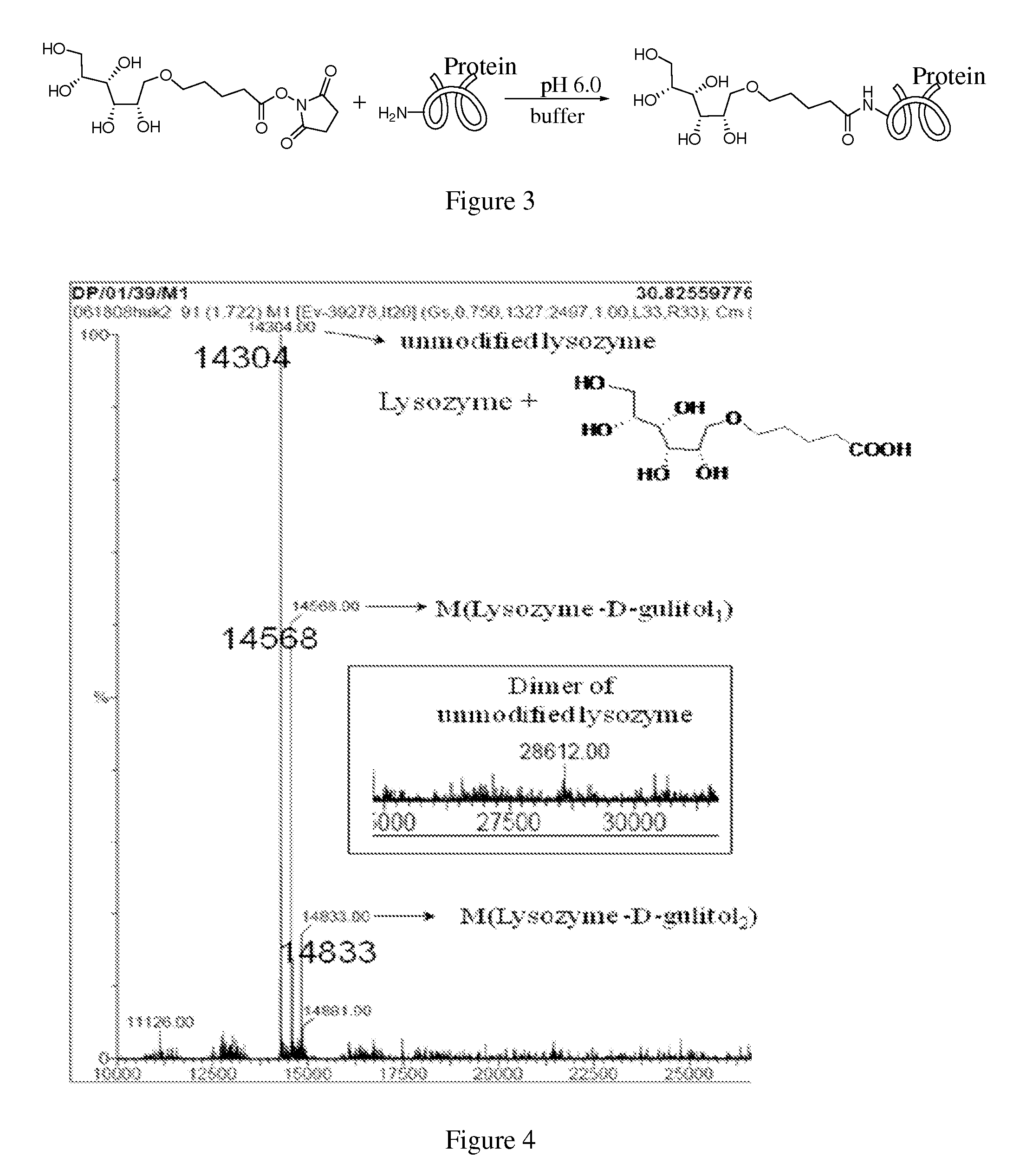 Method of covalently modifying proteins with organic molecules to prevent aggregation