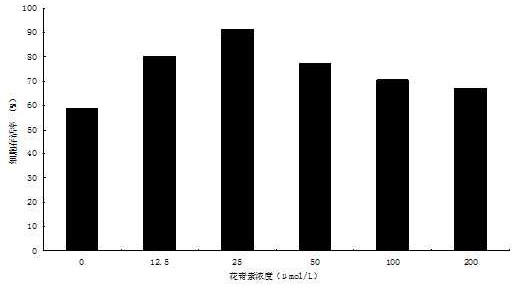 A kind of construction method of cell culture medium and cell line of wrinkled plate abalone