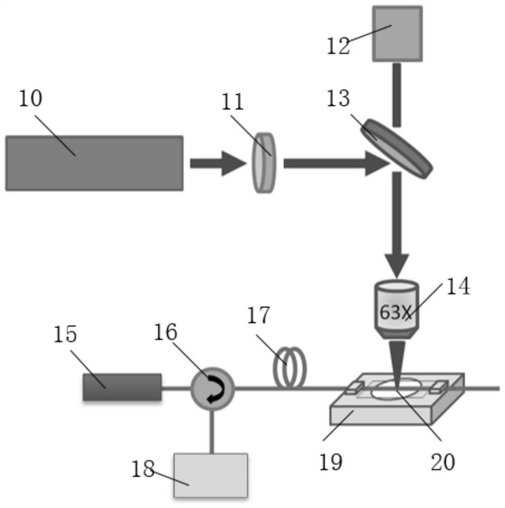 Erbium-doped fiber laser for preparing core-clad composite FBG based on femtosecond laser direct writing