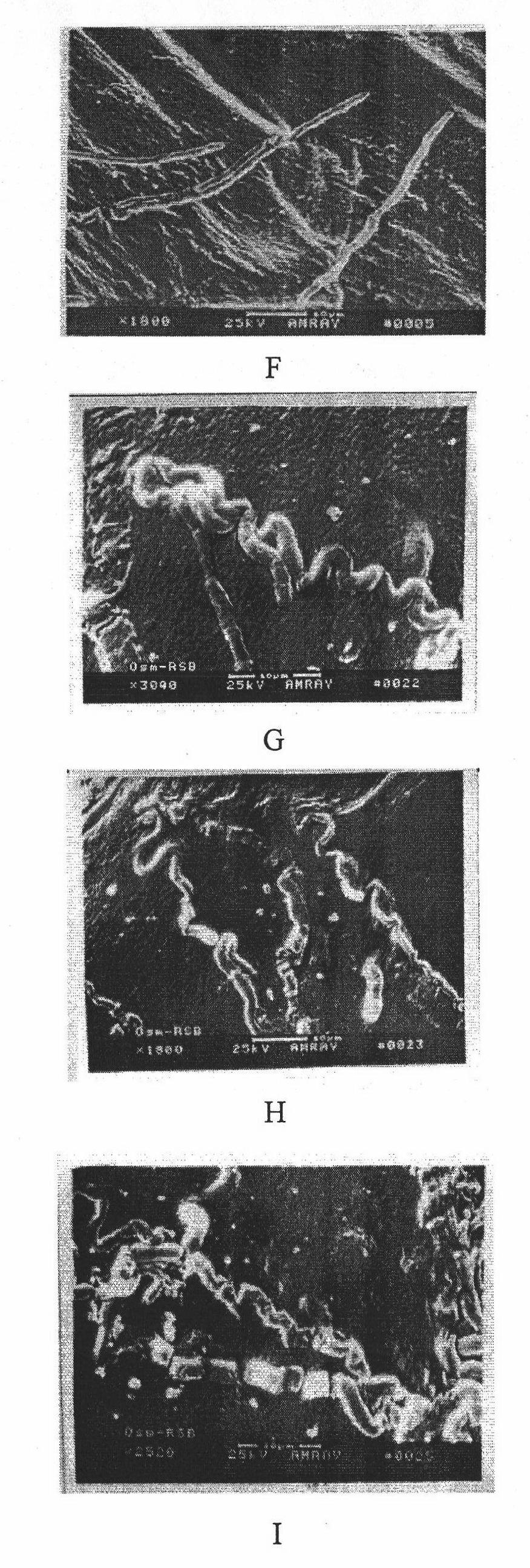 Bacillus stain for preventing and controlling rice blast and rice sheath blight