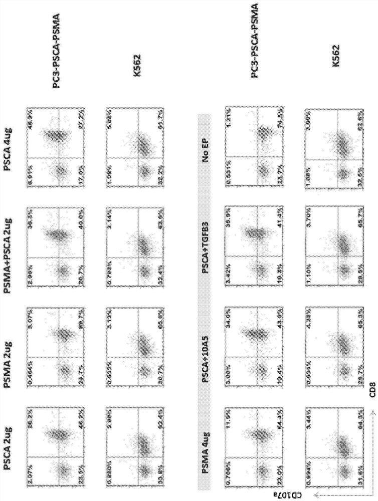 Compositions and methods comprising prostate stem cell antigen (PSCA) chimeric antigen receptors (CARS)