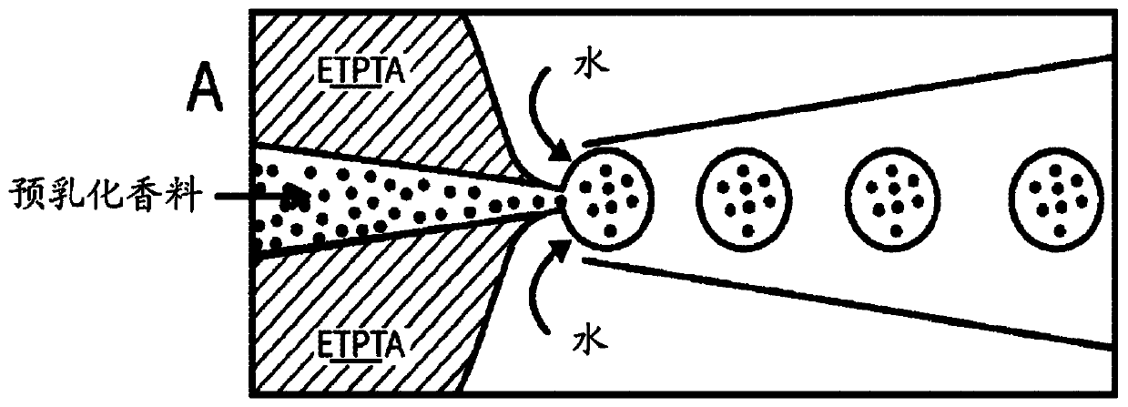 Methods for Encapsulation of Active Substances in Droplets and Other Compartments