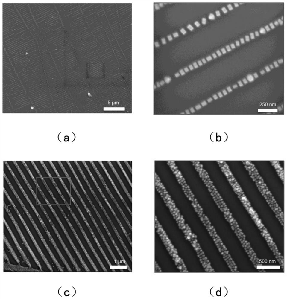 A construction method and application of a controllable micro-nano array based on gold-silver nanobricks
