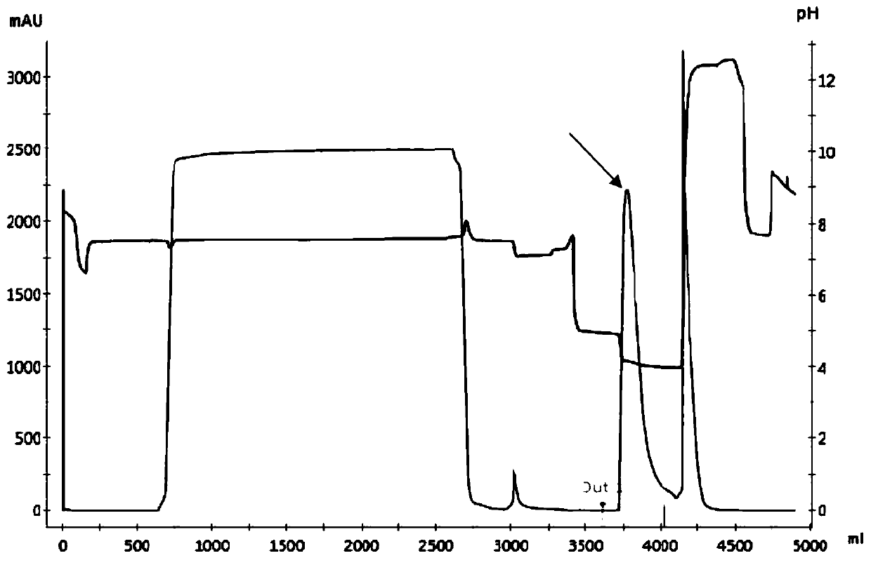 Method for purifying Fc fusion protein