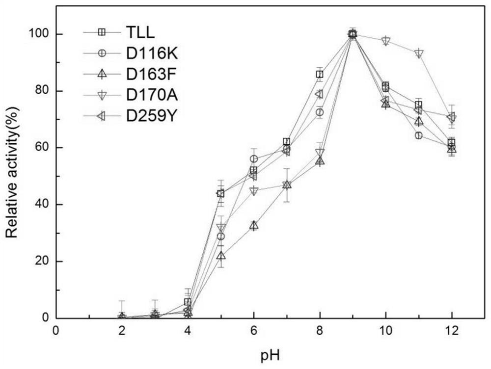 Lipase mutant D163F with improved catalytic activity and application thereof