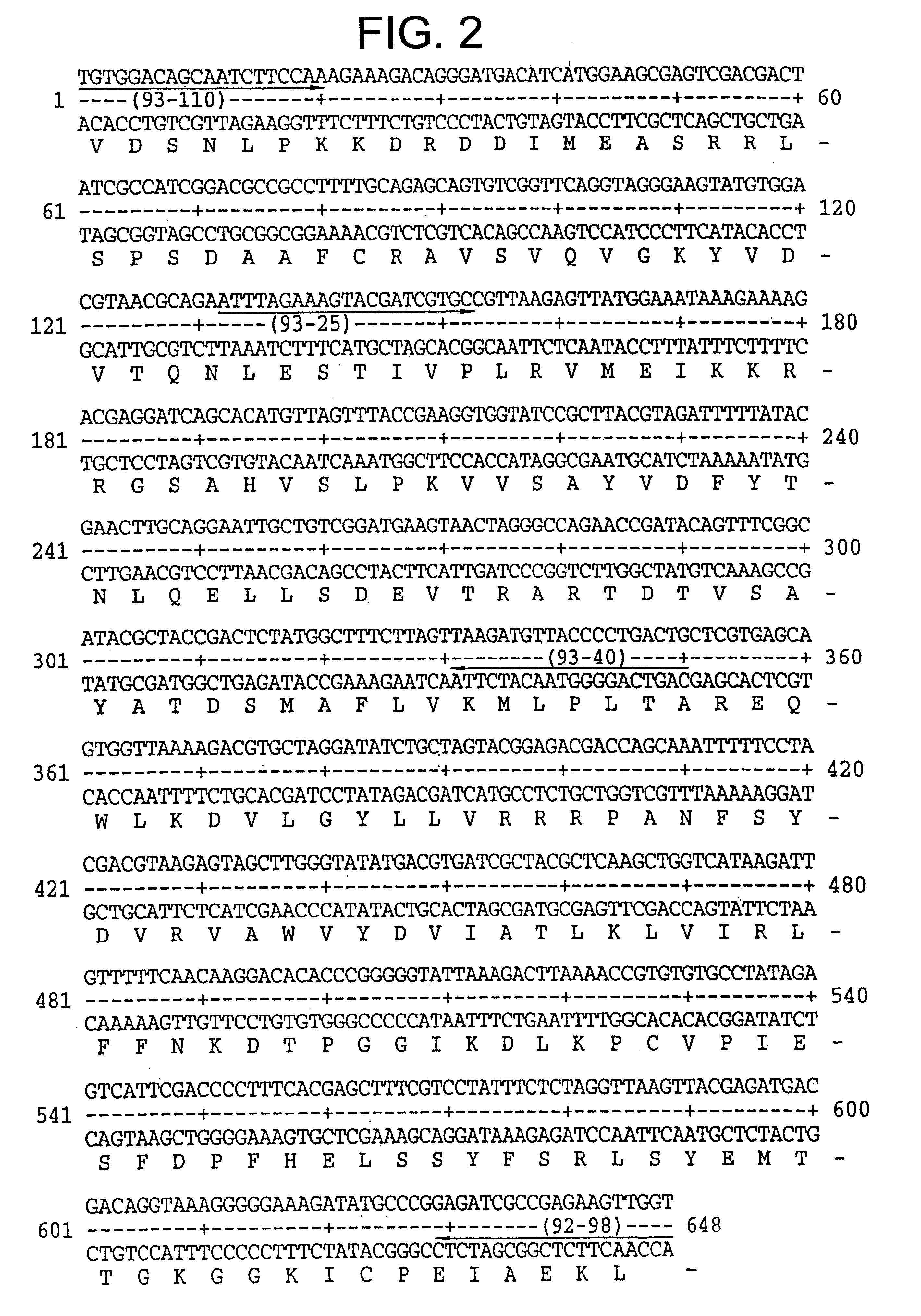 Grapevine leafroll virus proteins and their uses