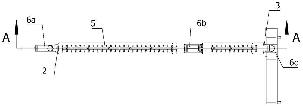 Kelp dehydration production line and production method