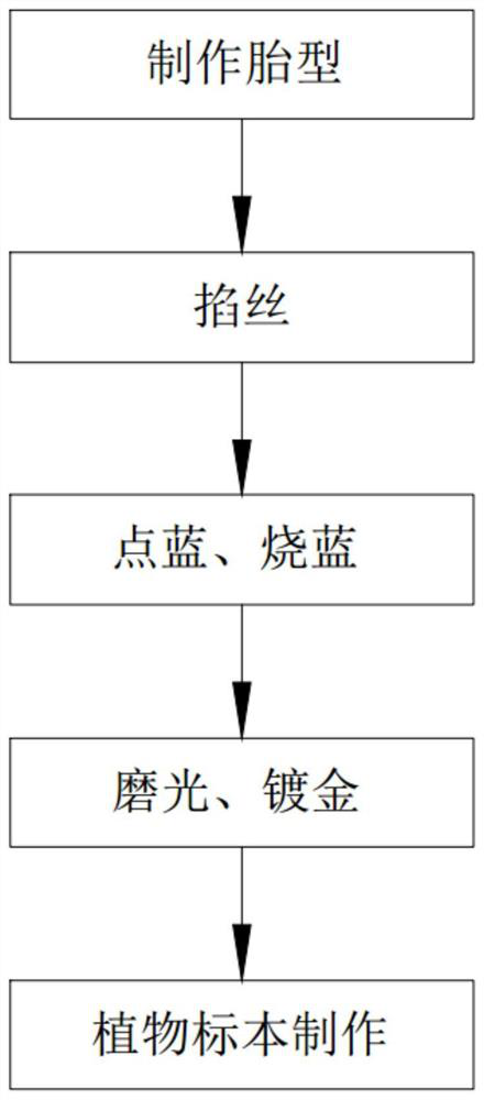 Manufacturing process of transparent cloisonne enamel type herbarium artware