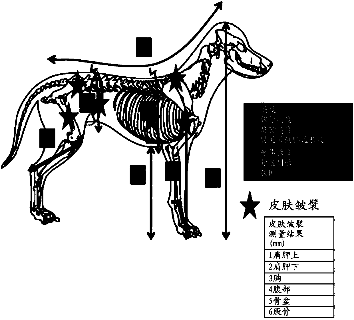 Methods using morphometric measurements of small dog to improve food for small dog