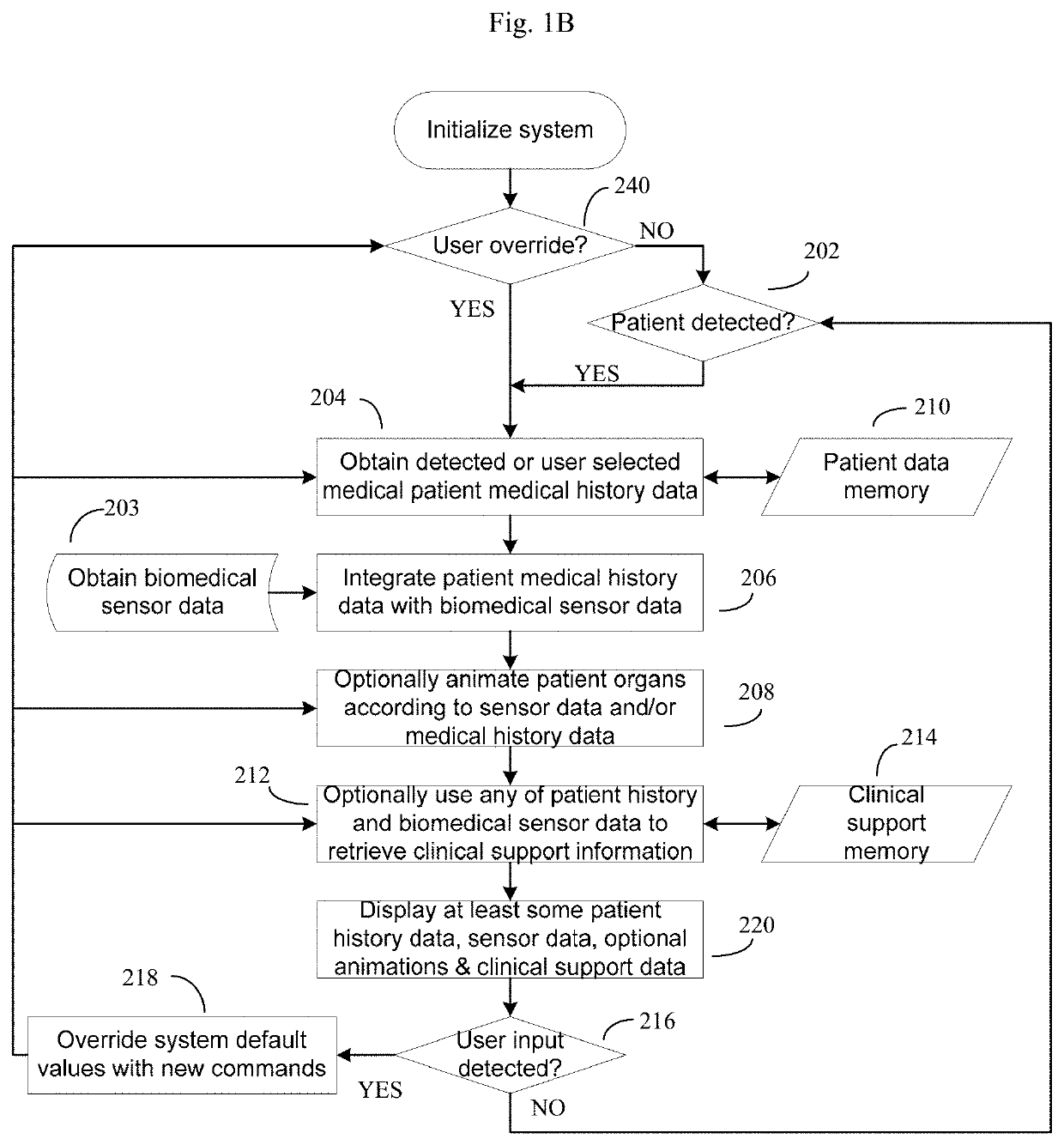 Augmented reality systems for time critical biomedical applications