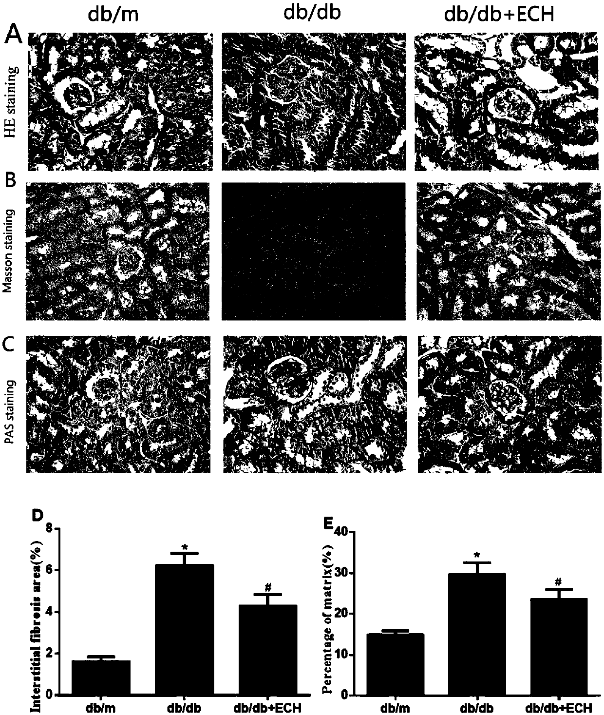 Novel application of echinacoside