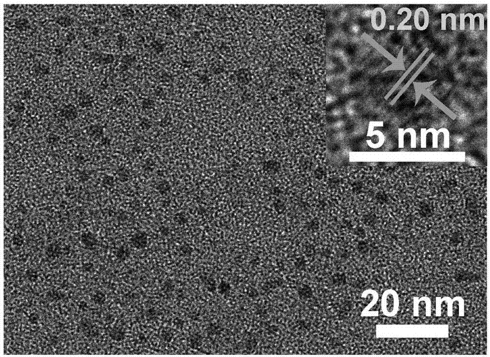 Fluorescent SiNDs (silicon nanodots) as well as preparation method and application thereof