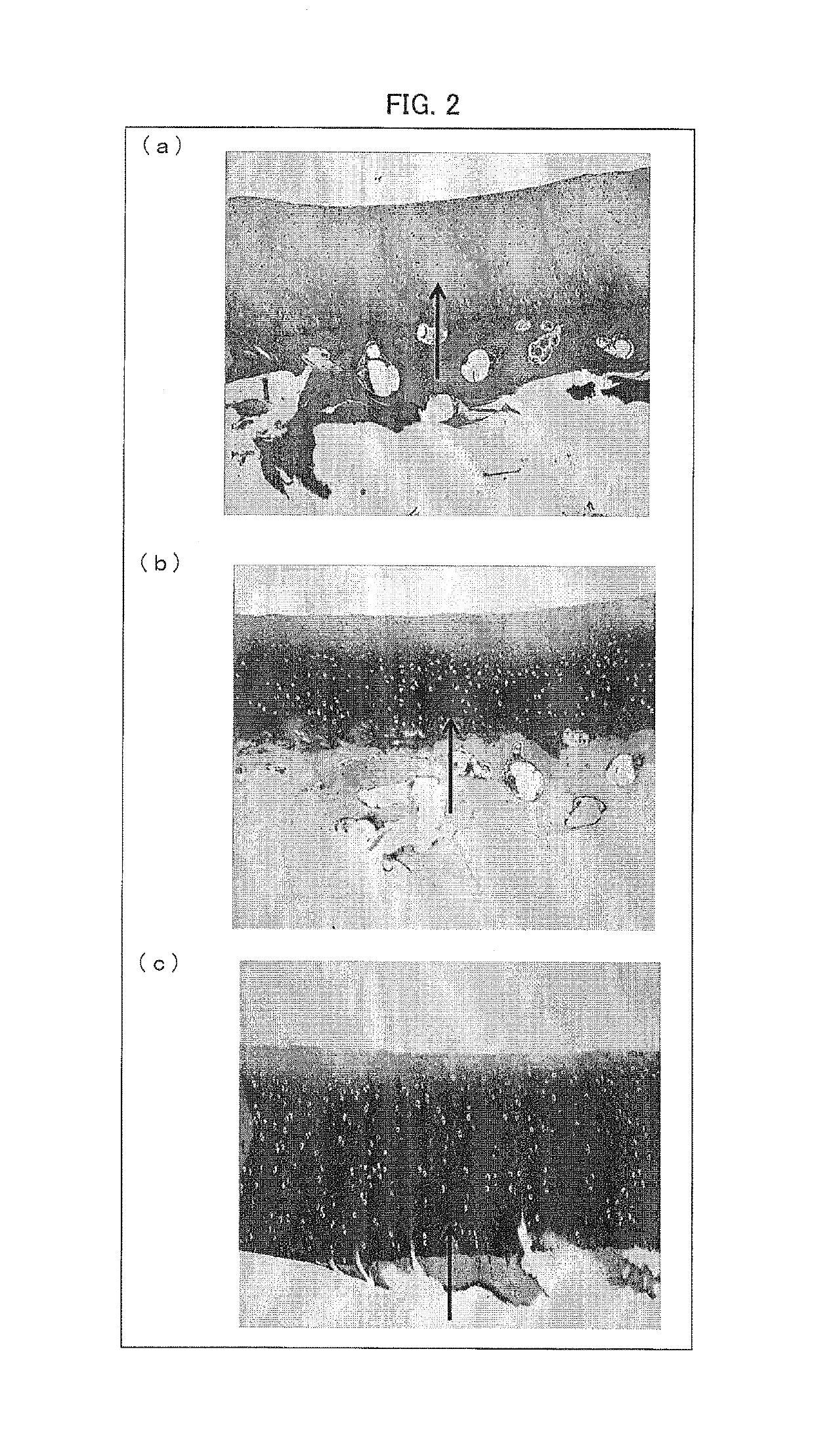 Cartilage-damage treatment agent and method for producing same
