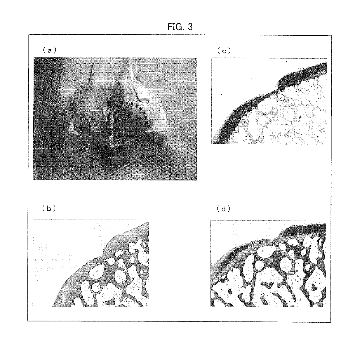 Cartilage-damage treatment agent and method for producing same