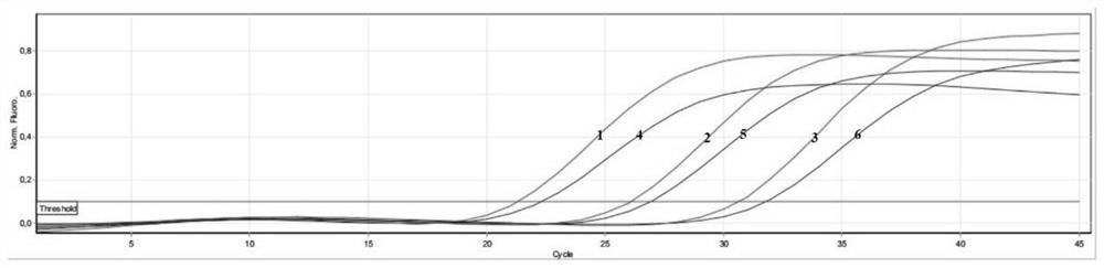 Kit, reaction system and method for detecting pneumocystis jirovecii and drug resistance of pneumocystis jirovecii