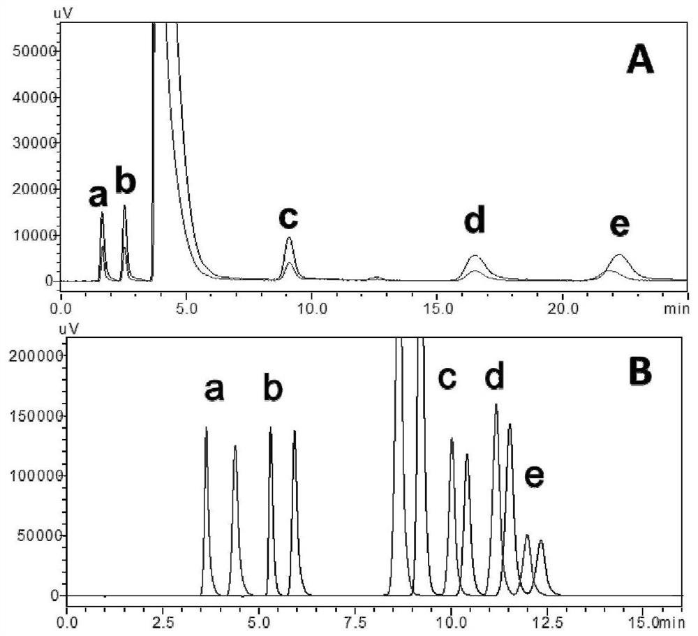 Method for simultaneously determining five amino acid neurotransmitters in biological matrix based on two-dimensional liquid chromatography-ultraviolet derivatization method