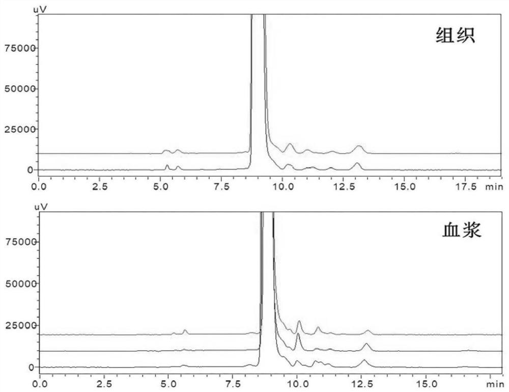 Method for simultaneously determining five amino acid neurotransmitters in biological matrix based on two-dimensional liquid chromatography-ultraviolet derivatization method