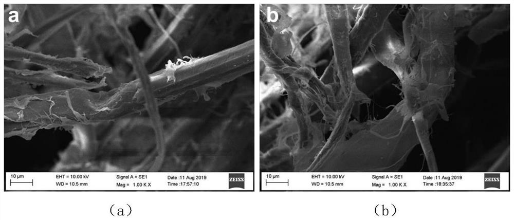 A method for preparing foam material based on ozone-modified bagasse thermomechanical pulp