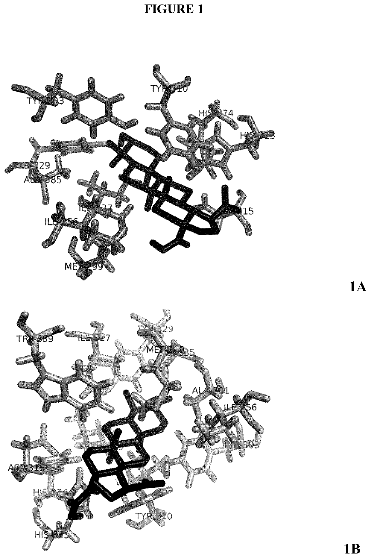 Hydroxamate triterpenoid derivatives