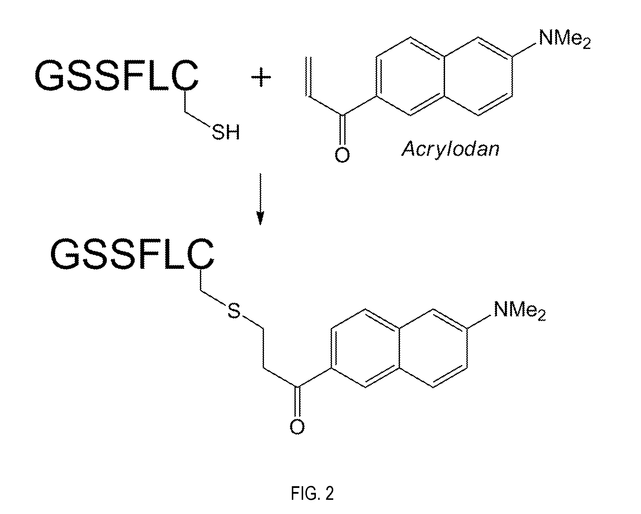 Ghrelin o-acyltransferase inhibitors