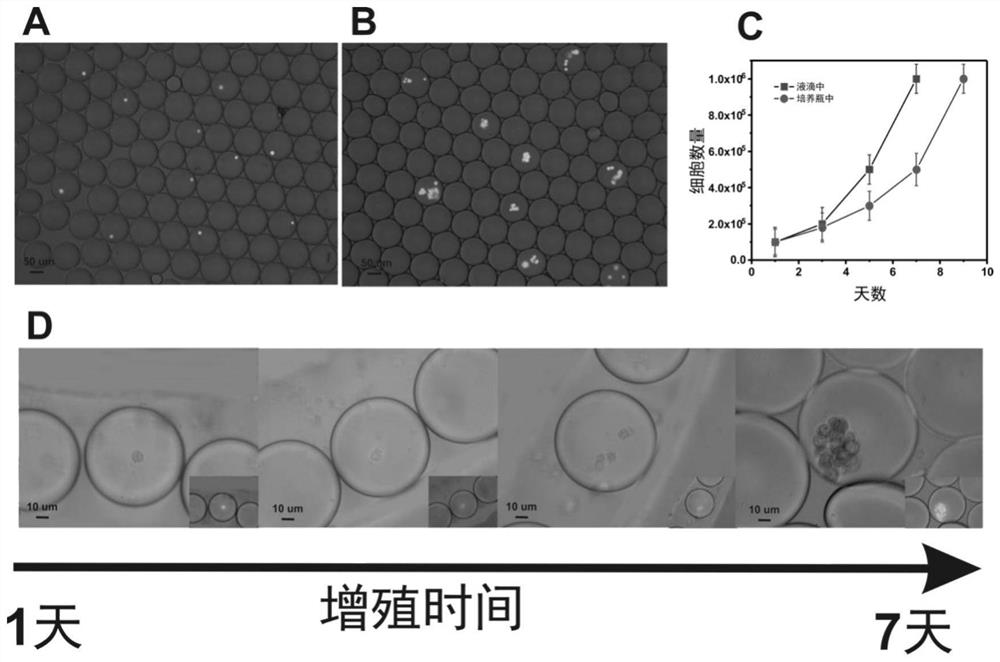 Integrated micro-fluidic chip device and method for separating T cells and amplifying integrated gel incubation droplets