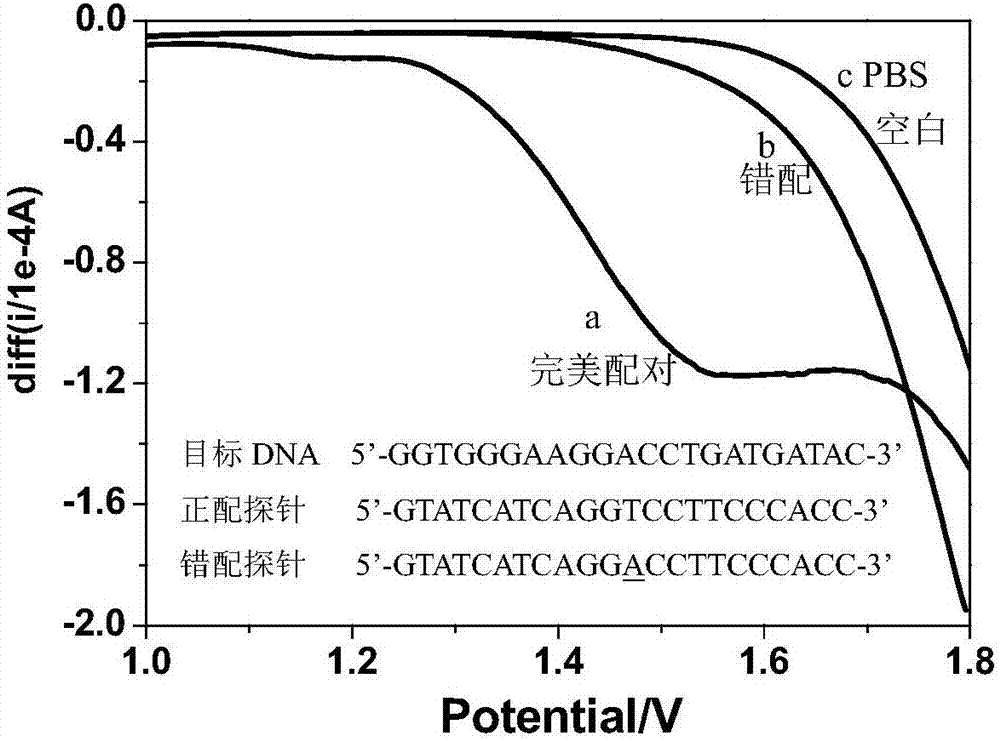 Method and application for rapidly detecting nucleic acid based on electrochemical electric potential pretreatment technology