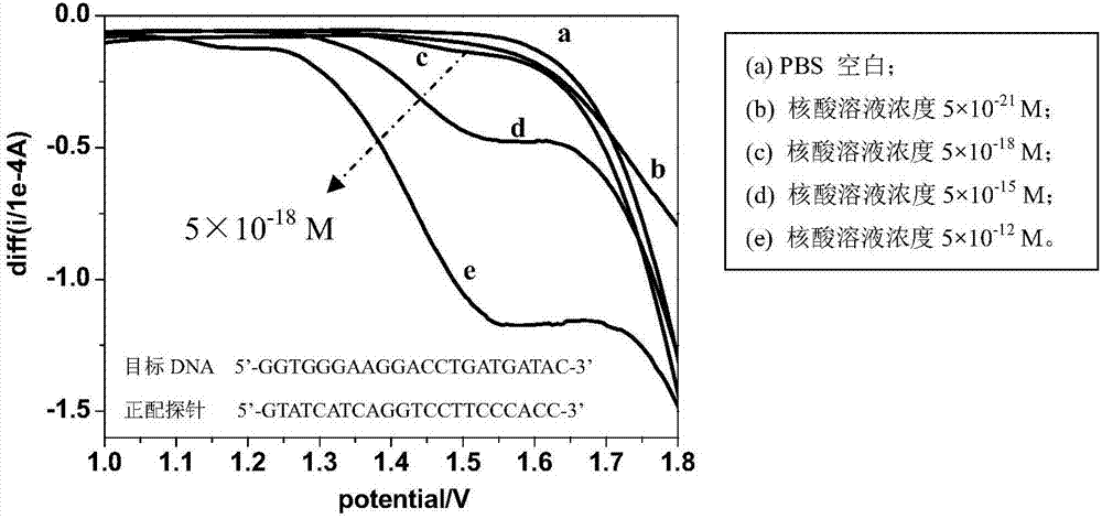 Method and application for rapidly detecting nucleic acid based on electrochemical electric potential pretreatment technology