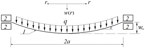 Determination method of Young's elastic modulus of thin film