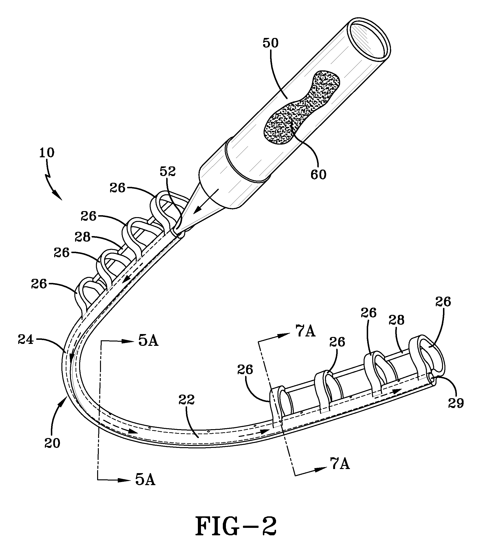 Dental hygiene device