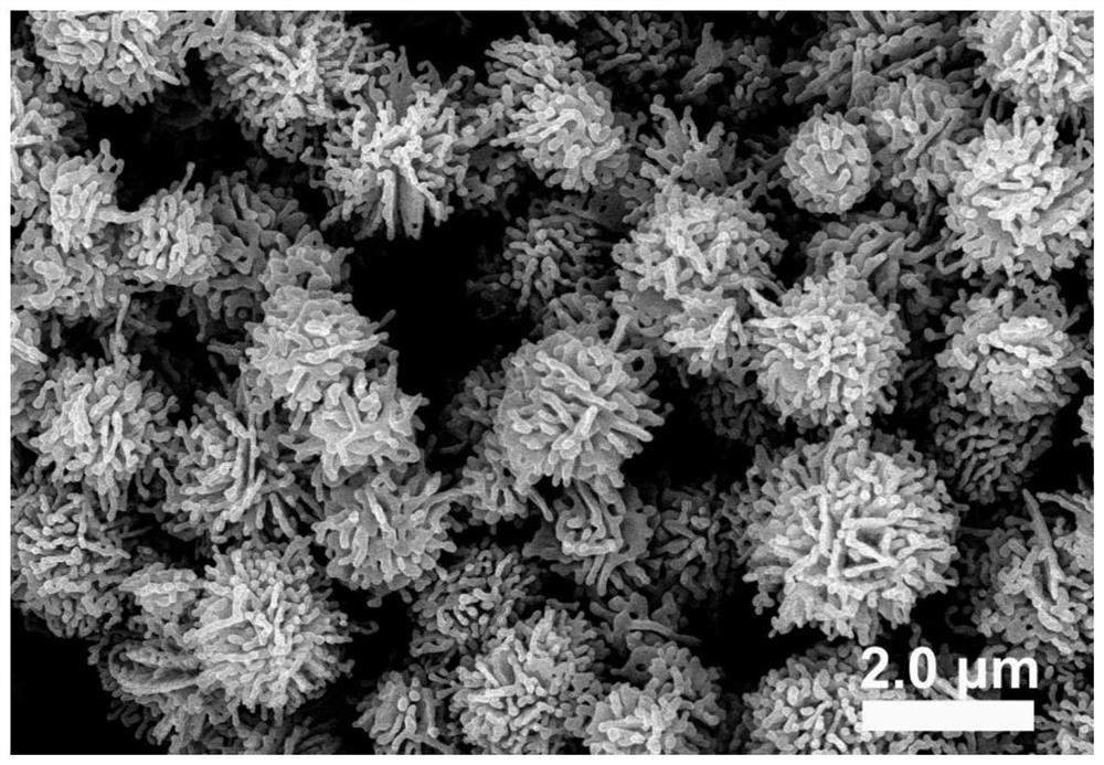A preparation method of flower-shaped elemental iron submicron particles assembled by nanoparticles