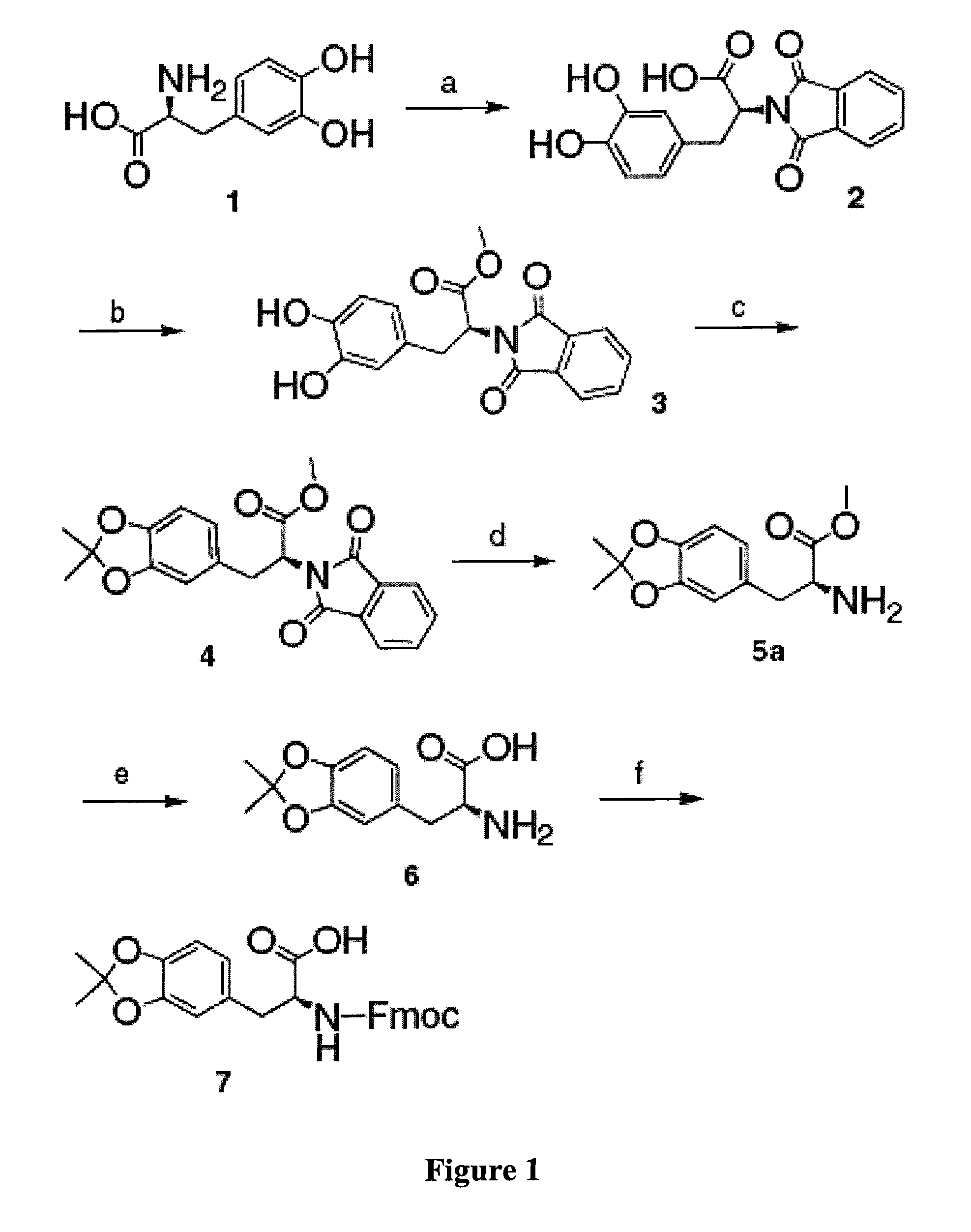 Method of synthesizing acetonide-protected catechol-containing compounds and intermediates produced therein