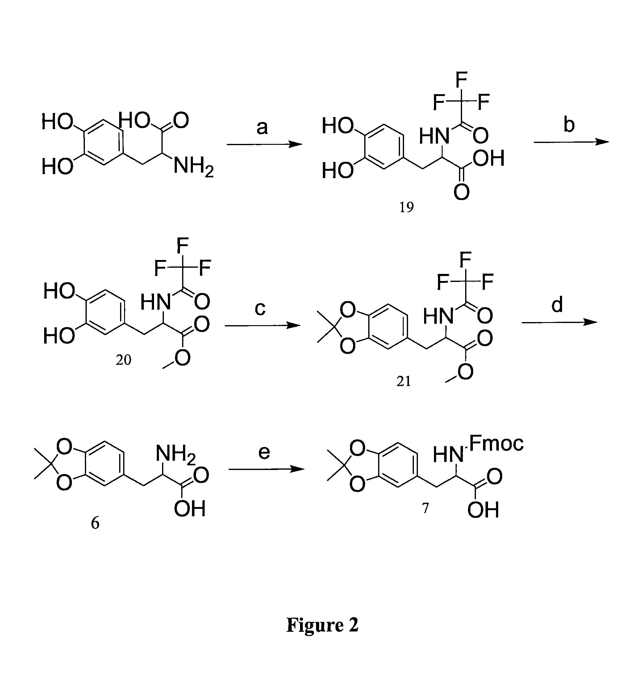 Method of synthesizing acetonide-protected catechol-containing compounds and intermediates produced therein