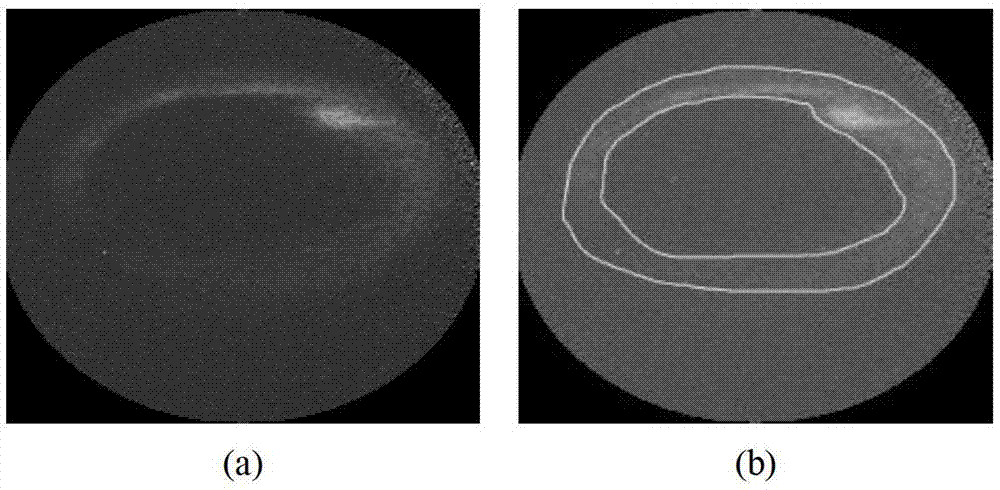 Auroral oval segmenting method based on brightness self-adaptive level set