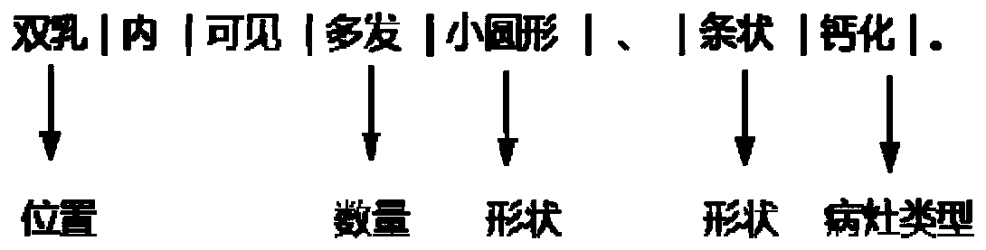 Mammography report semantic tree model building method supporting heterogeneous information integration