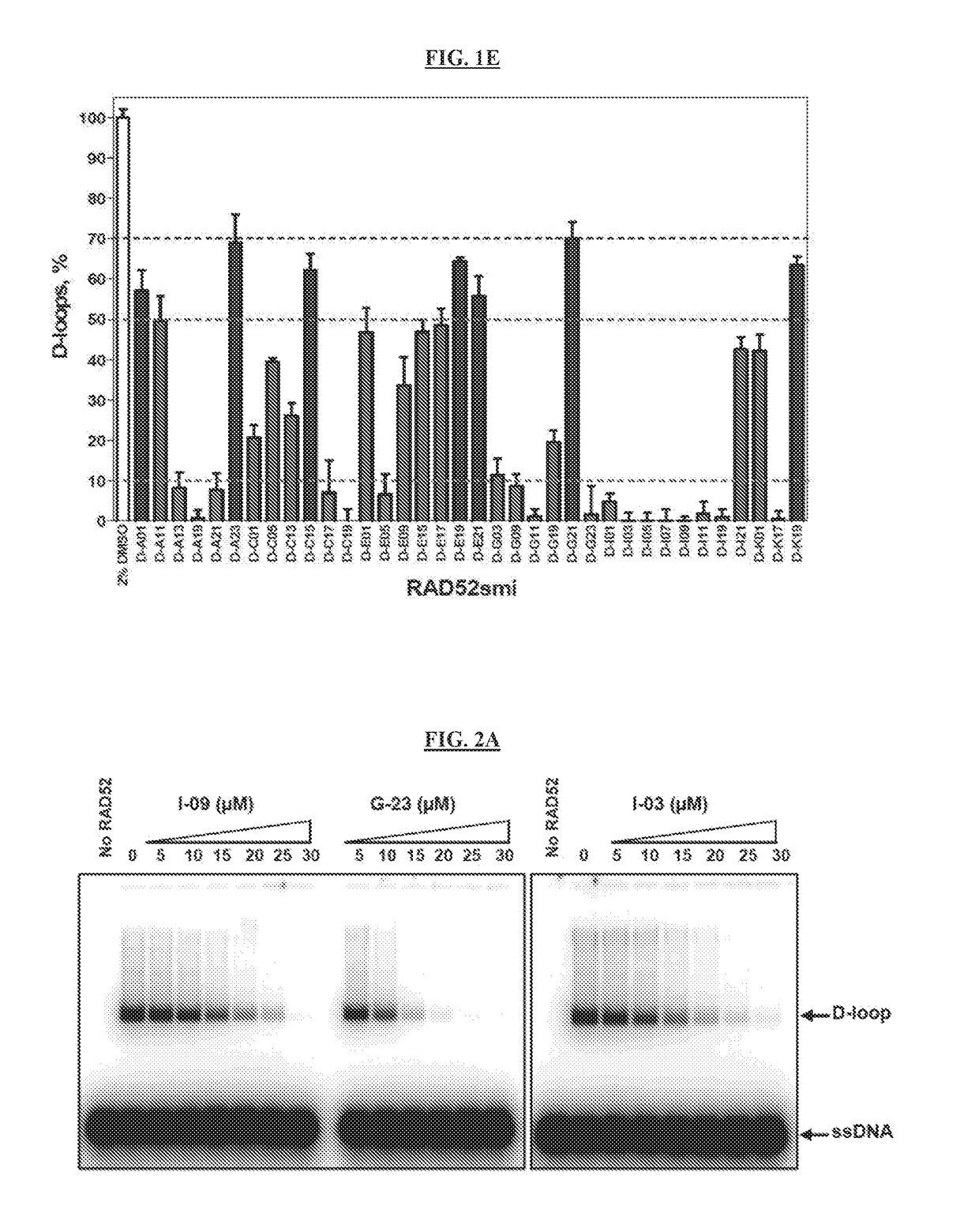 Inhibitors of RAD52 Recombination Protein and Methods Using Same