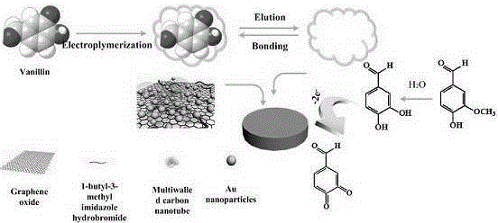 Preparation method and application of imprinting electrochemical sensor for detecting vanillin