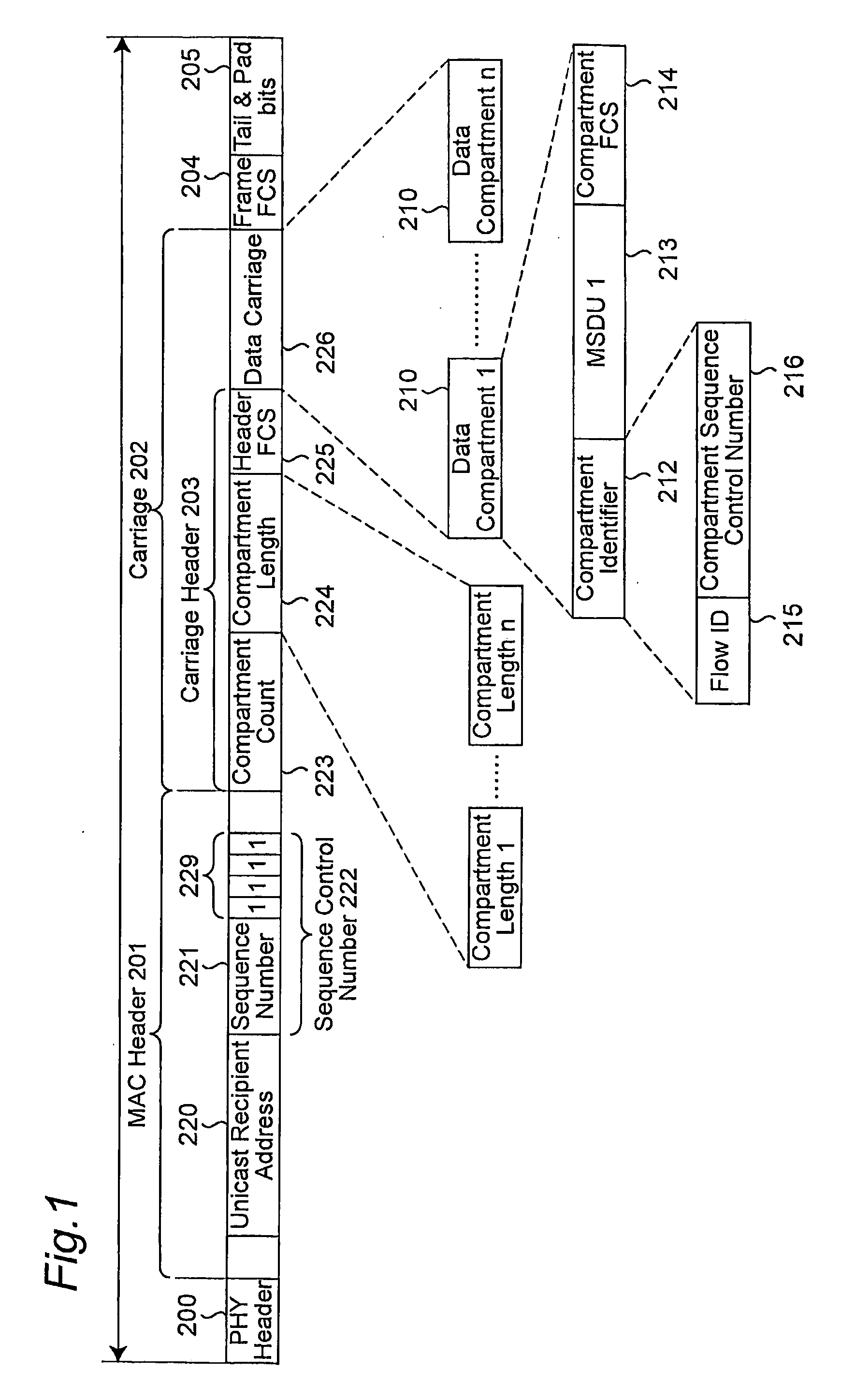 Method And Apparatus For Generating Packet Frames For Carrying Data